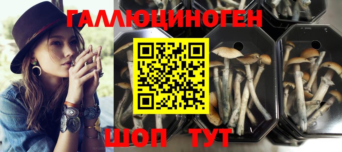 Конопля  КОКАИН  Мефедрон   ГАШИШ  Владикавказ  Вход с VPN 