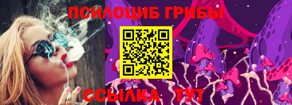 Владикавказ  Галлюциногенные грибы GOLDEN TEACHER  Вход с VPN 