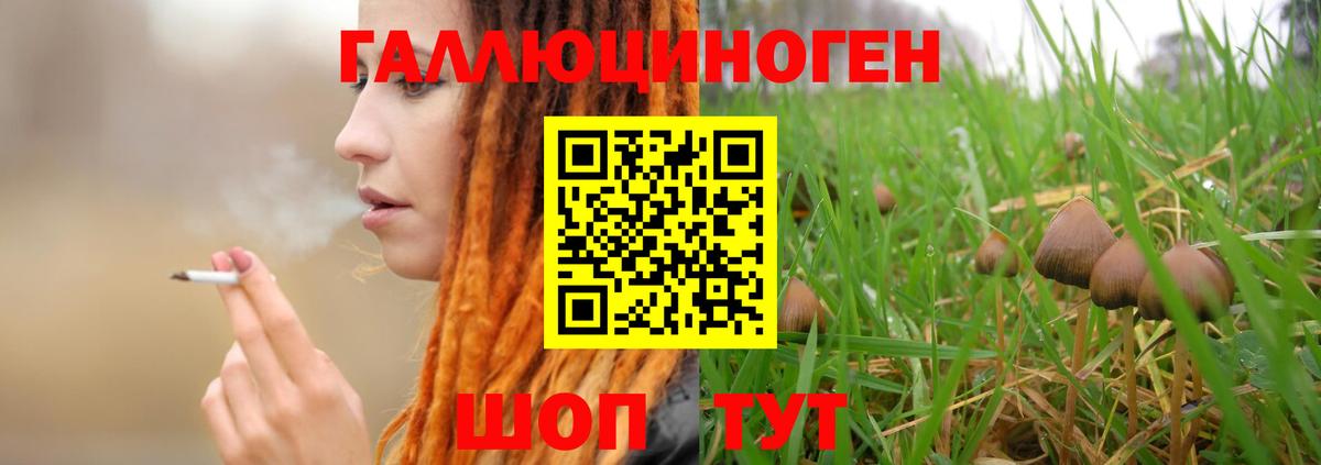 Галлюциногенные грибы мицелий Владикавказ